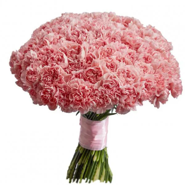 Моно букет из розовых гвоздик