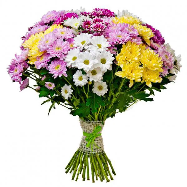 Ромашковый микс