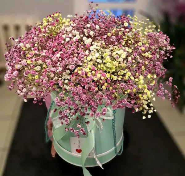 Элегантные моменты