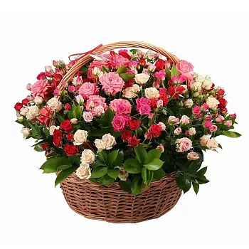 Корзина ярких мыслей