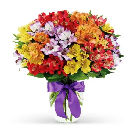 Твой свет сияет